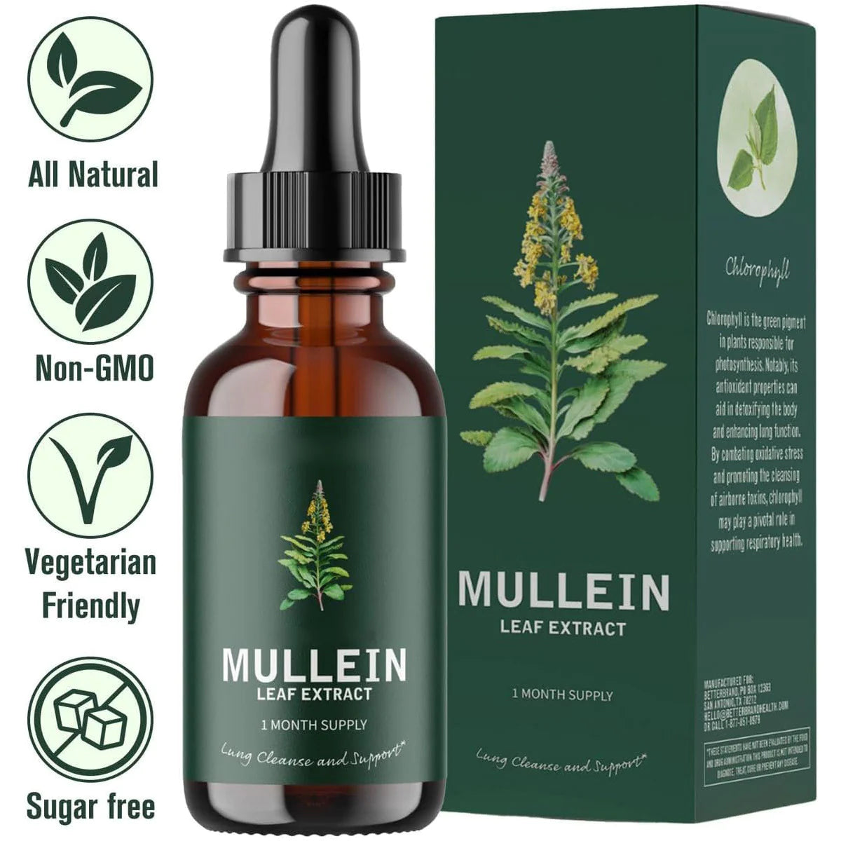 Mullein Essence Drops