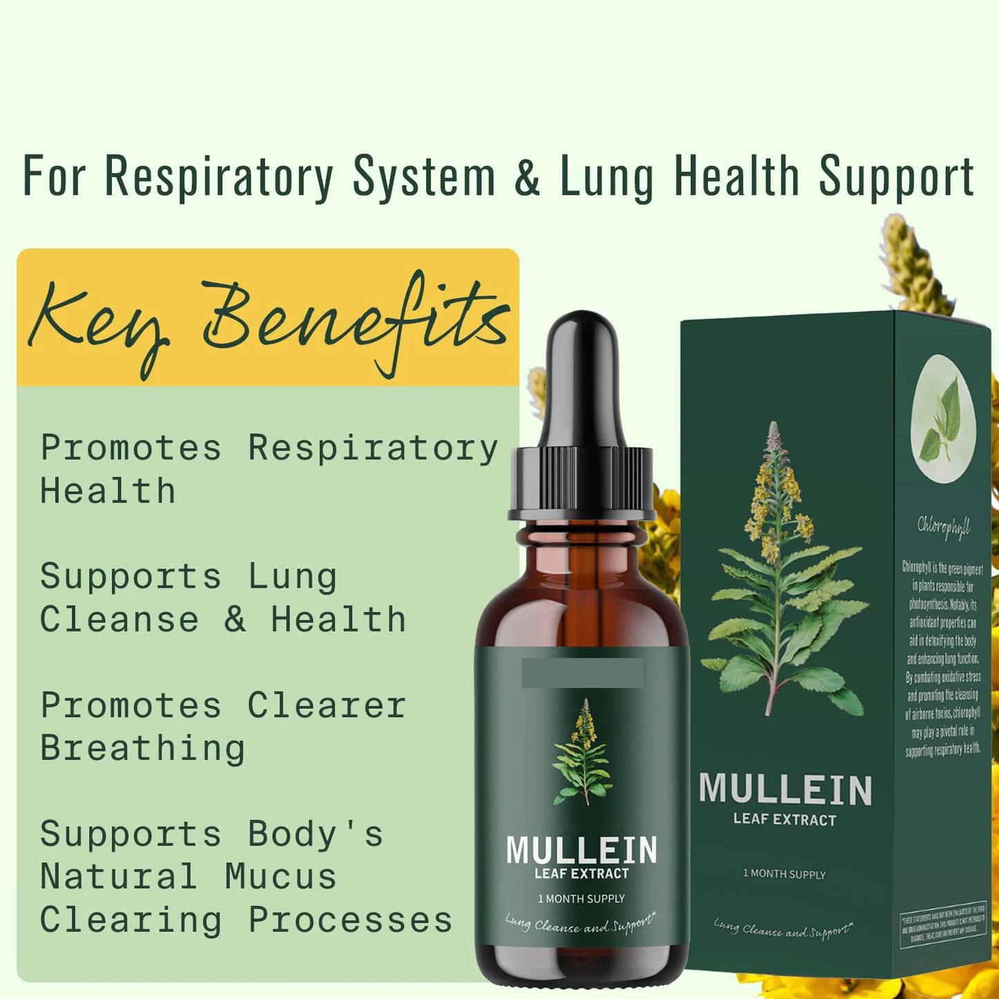 Mullein Essence Drops